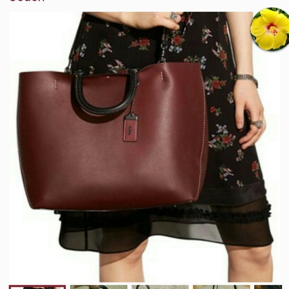 Coach rogue - Picture 6 of 7